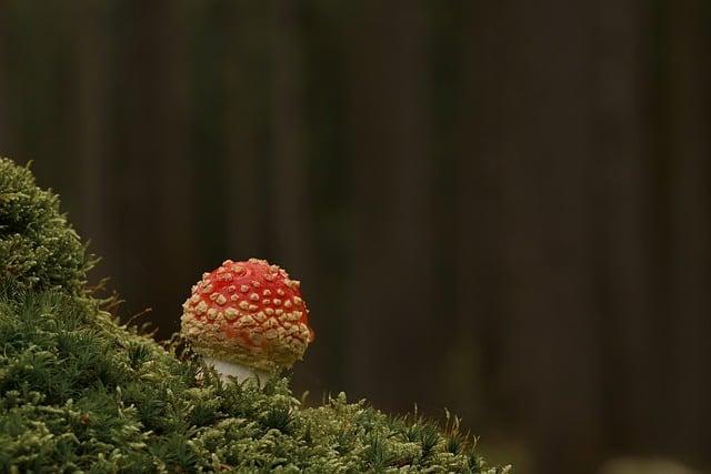 染毒後的初期症狀為何？